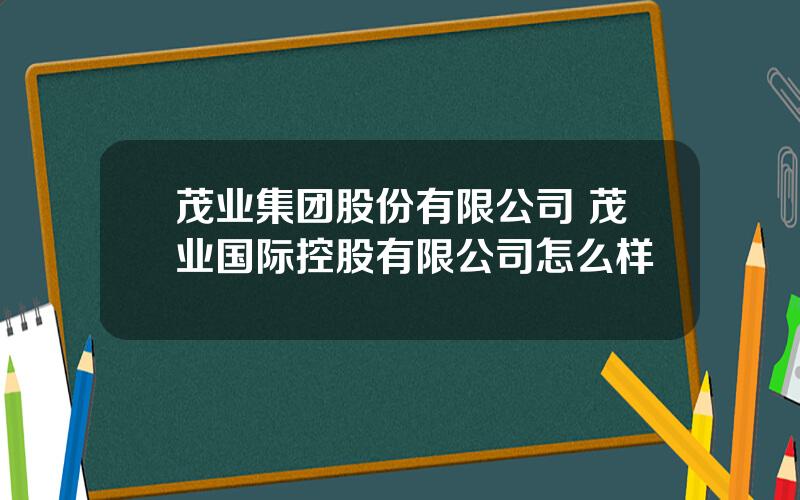 茂业集团股份有限公司 茂业国际控股有限公司怎么样